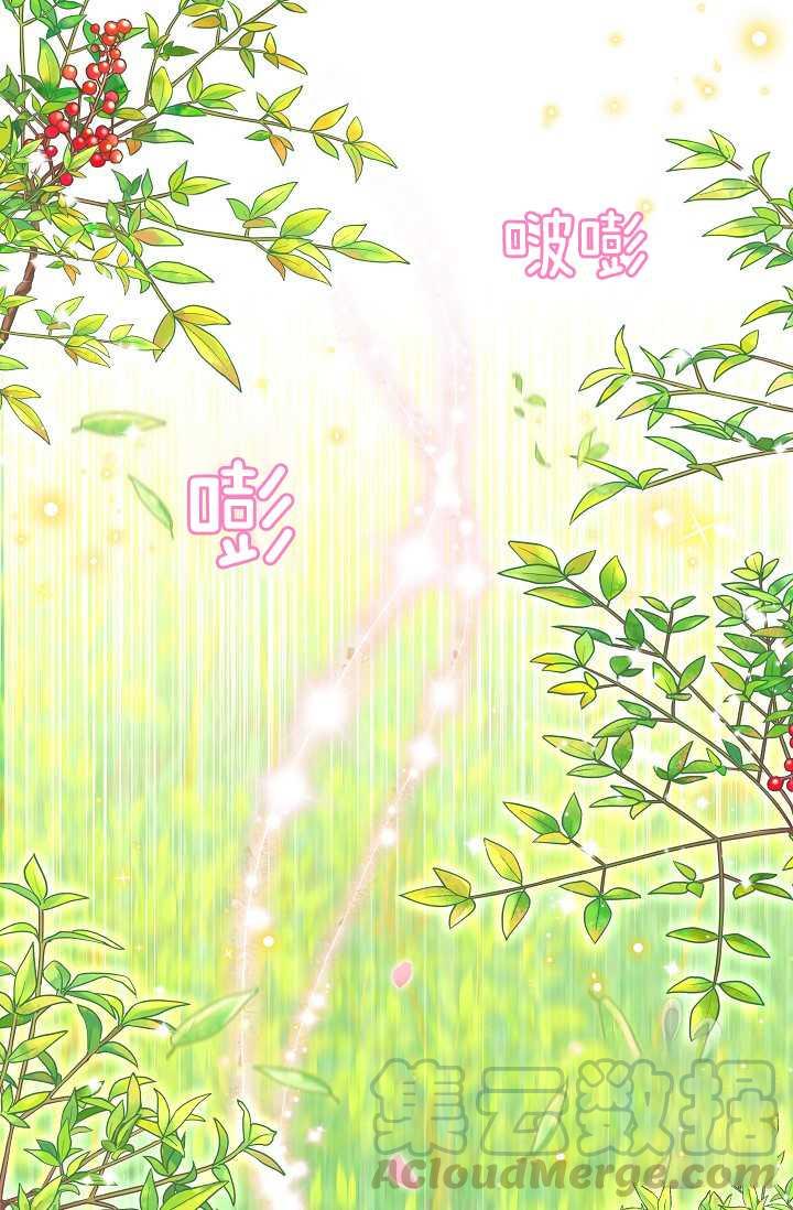 透明的公爵夫人51话