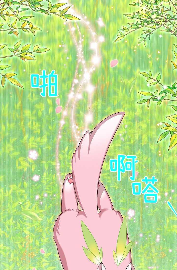透明的公爵夫人51话