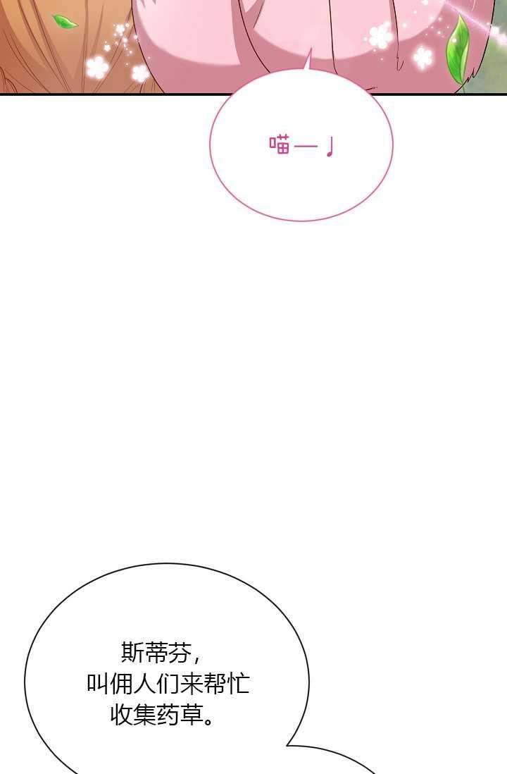 透明的公爵夫人51话