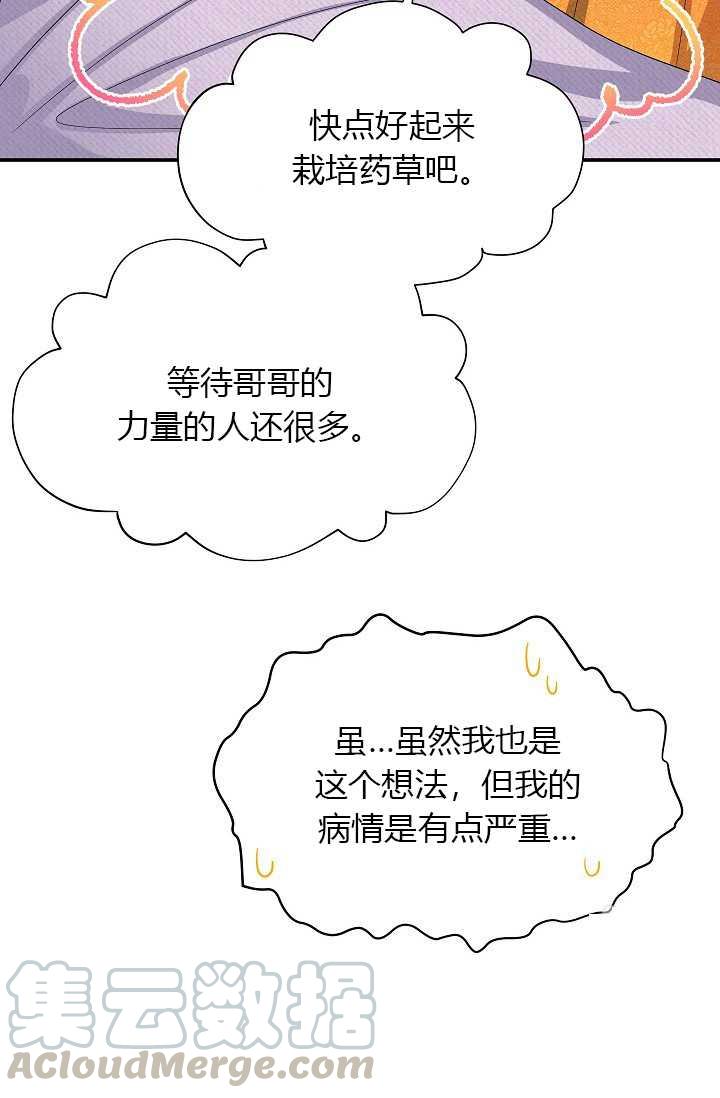 透明的公爵夫人54话