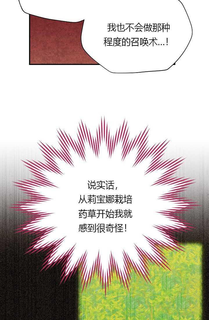 透明的公爵夫人54话