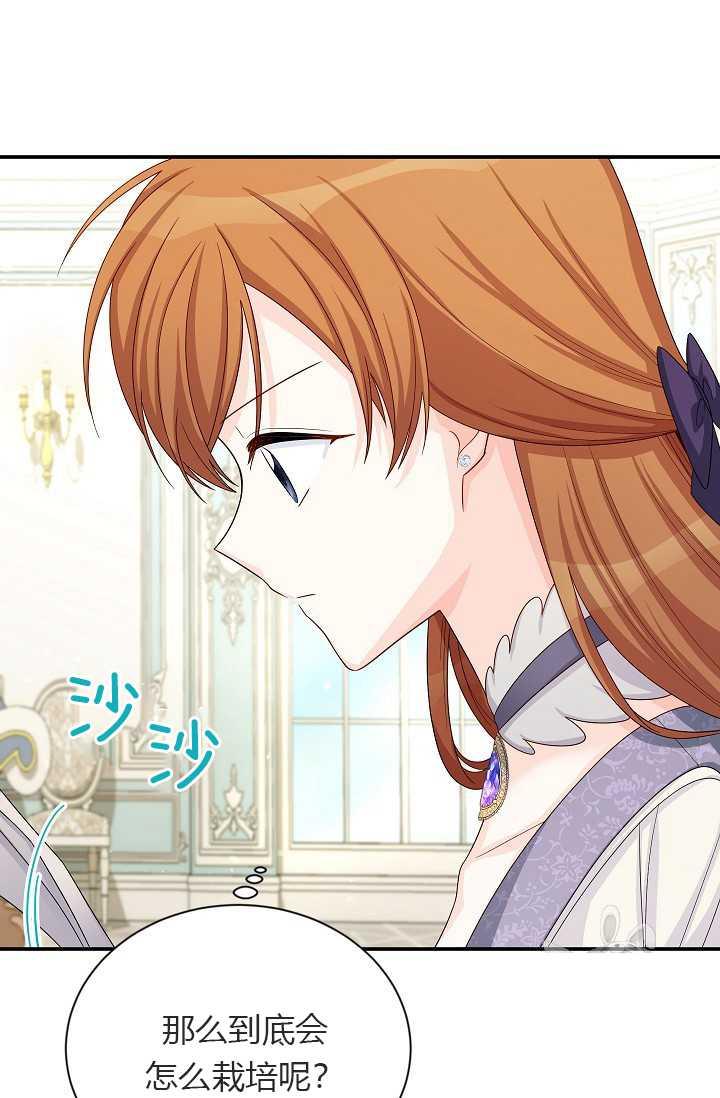 透明的公爵夫人55话