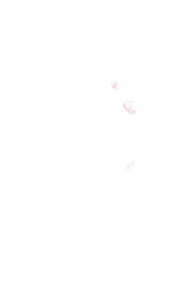透明的公爵夫人56话