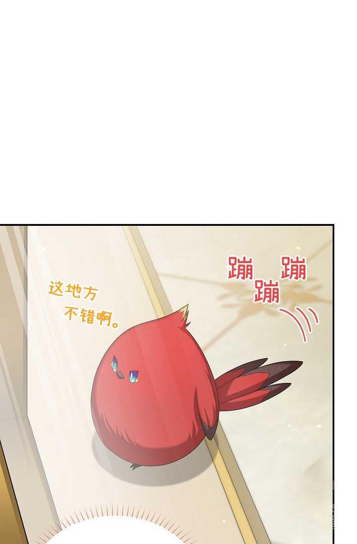 透明的公爵夫人57话
