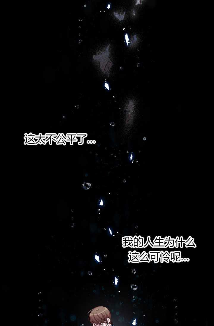 透明的公爵夫人63话