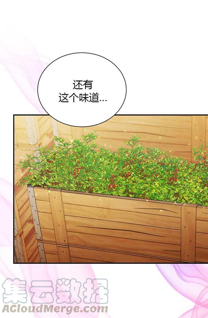 透明的公爵夫人63话