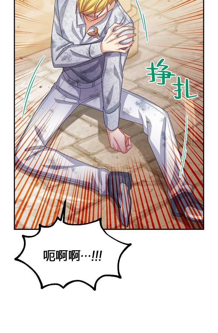 透明的公爵夫人65话