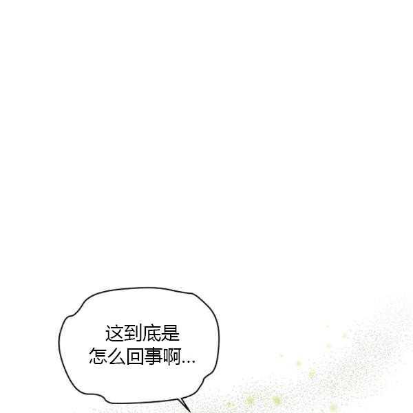 透明的公爵夫人67话