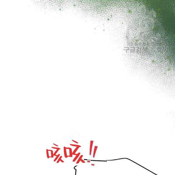 透明的公爵夫人67话
