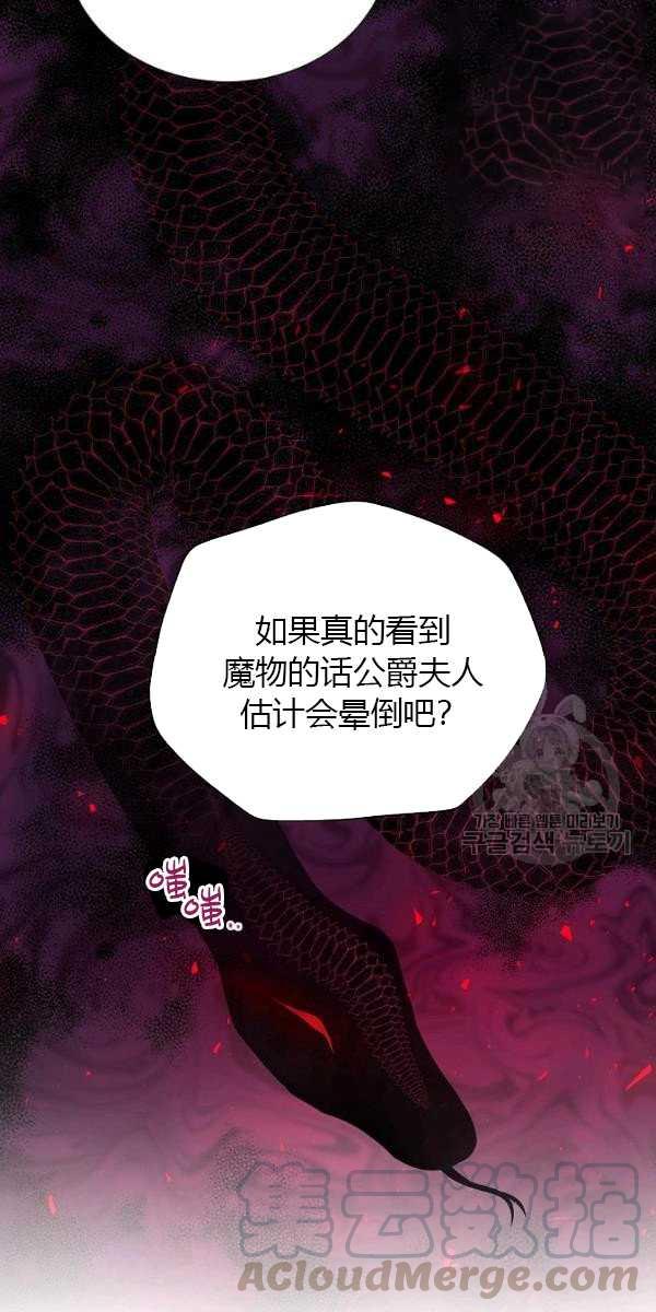 透明的公爵夫人67话