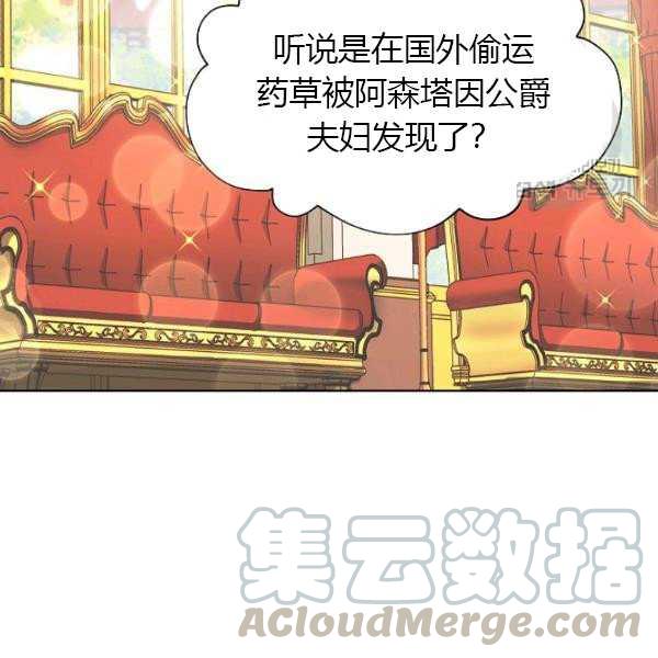 透明的公爵夫人67话