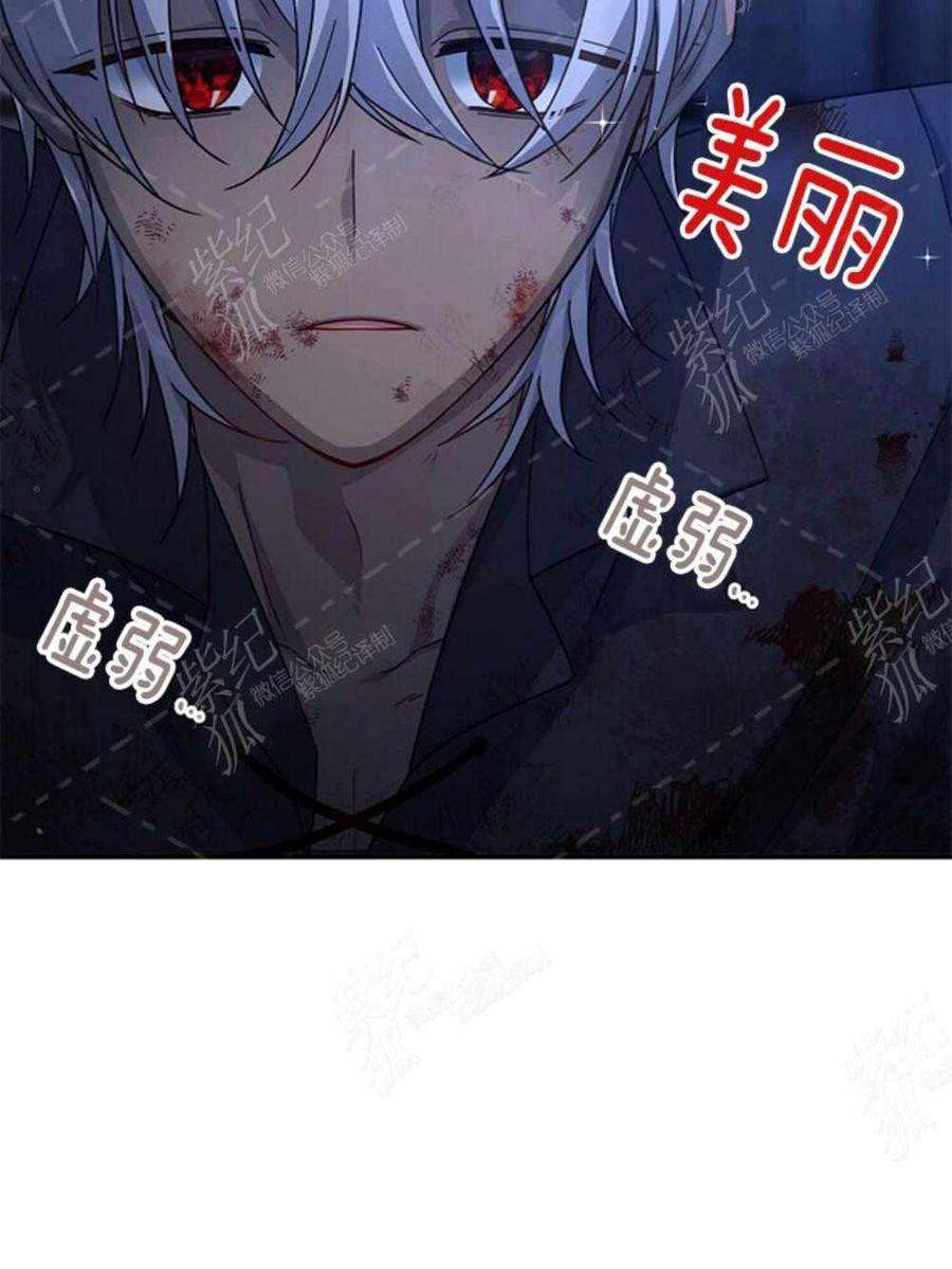 透明的公爵夫人36话黎明的到来