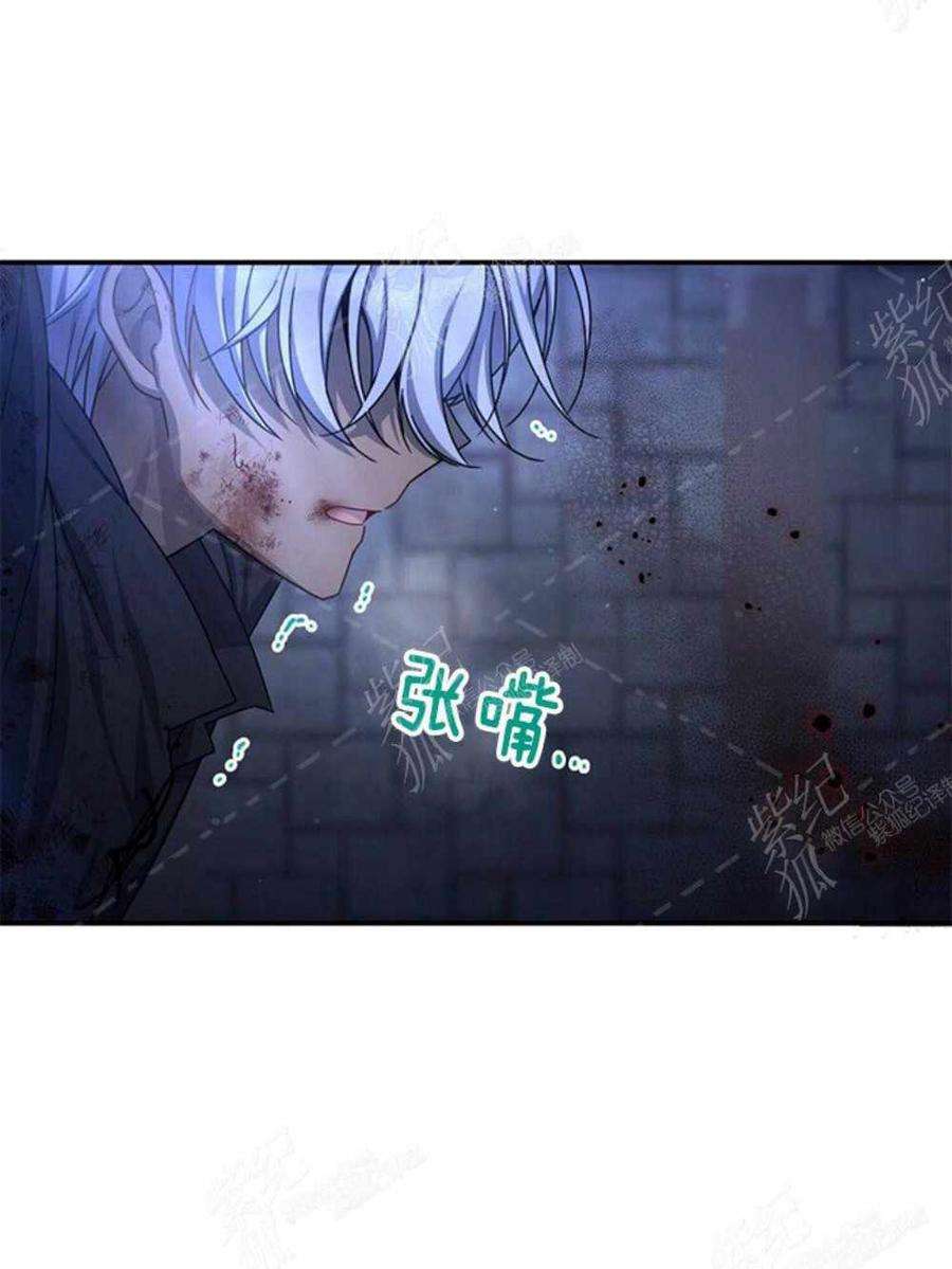 透明的公爵夫人36话黎明的到来