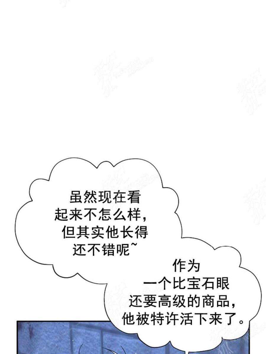 透明的公爵夫人36话黎明的到来