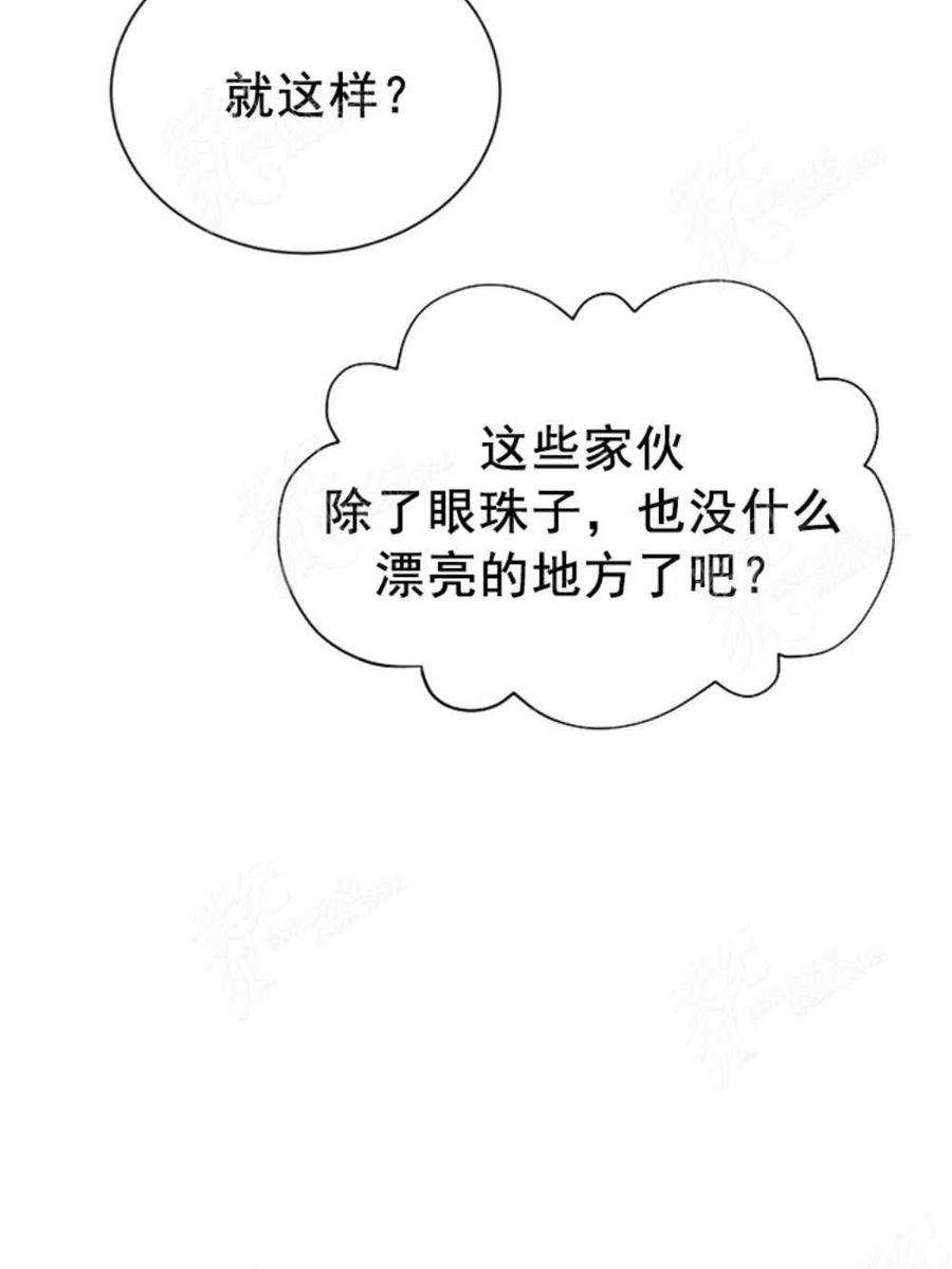透明的公爵夫人36话黎明的到来