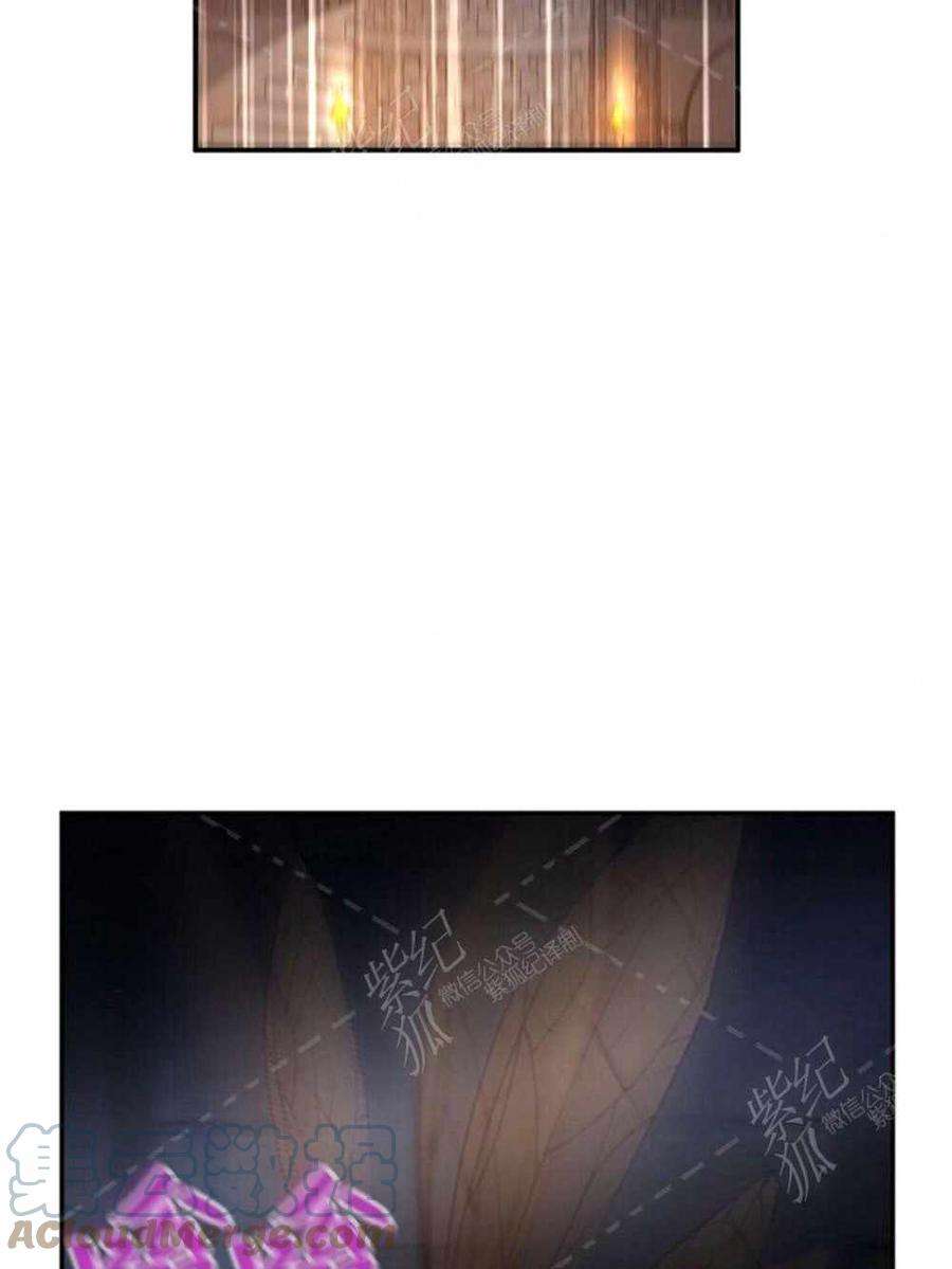 透明的公爵夫人36话黎明的到来