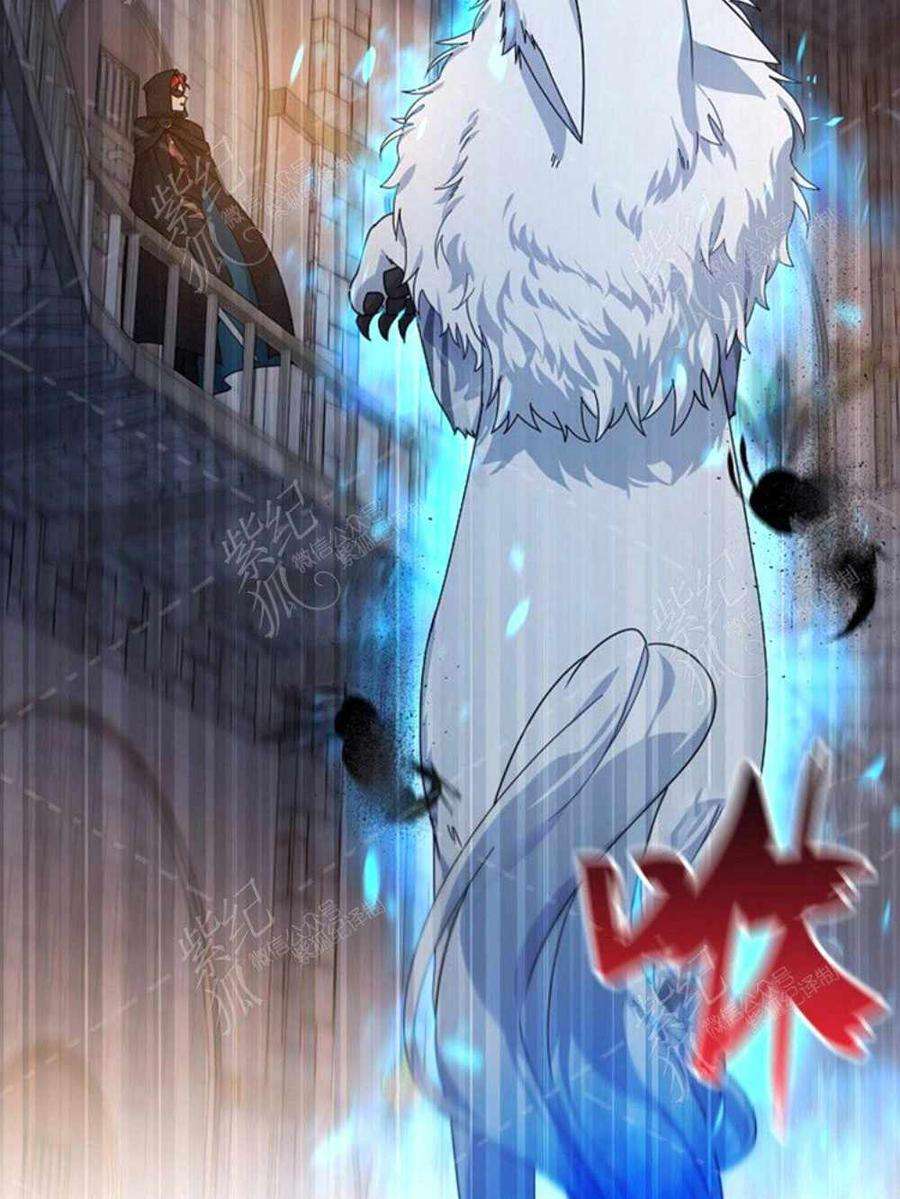 透明的公爵夫人36话黎明的到来