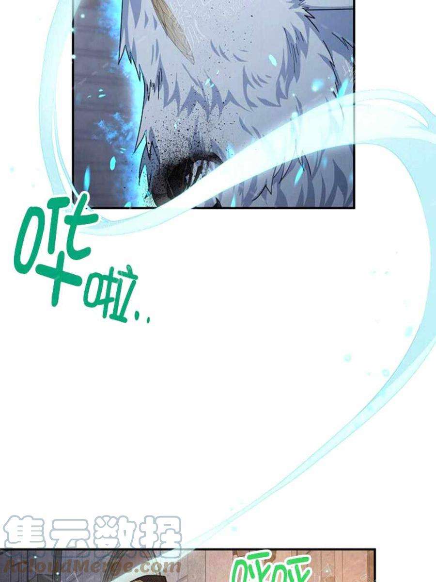 透明的公爵夫人36话黎明的到来