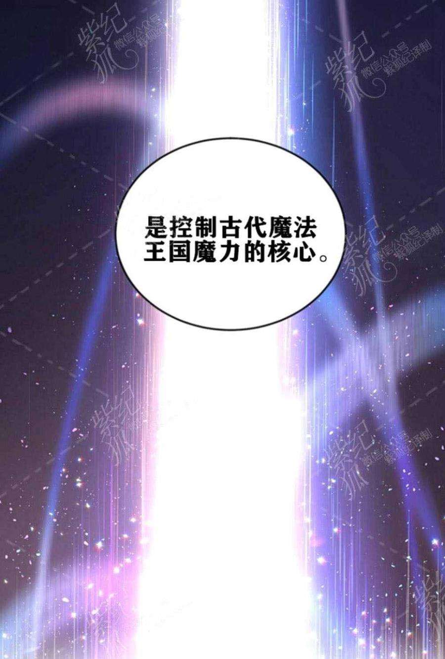 透明的公爵夫人37话保护他的武器