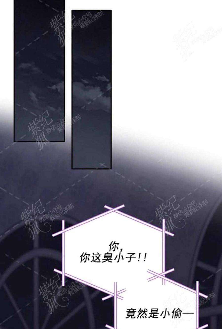 透明的公爵夫人37话保护他的武器