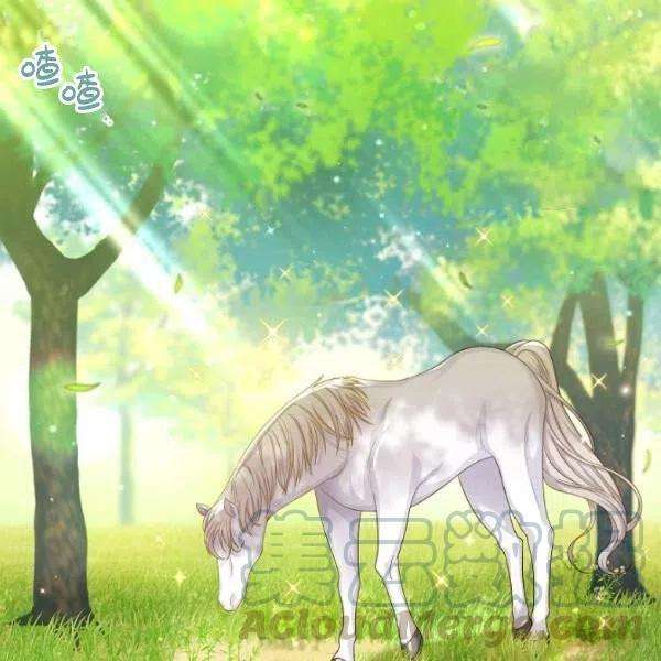 透明的公爵夫人72话