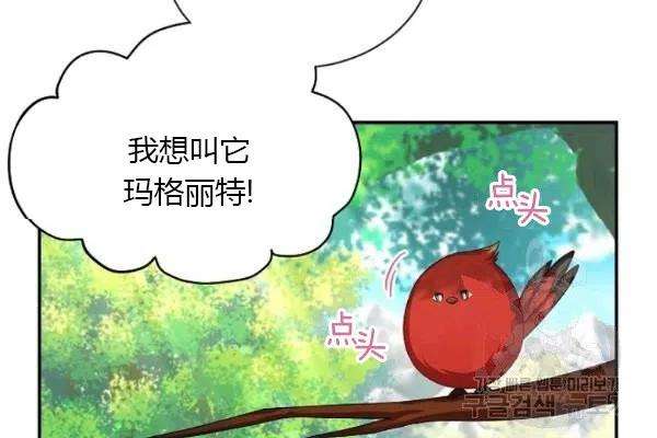 透明的公爵夫人72话