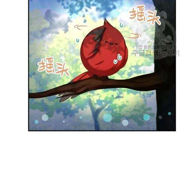 透明的公爵夫人72话