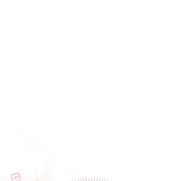 透明的公爵夫人73话