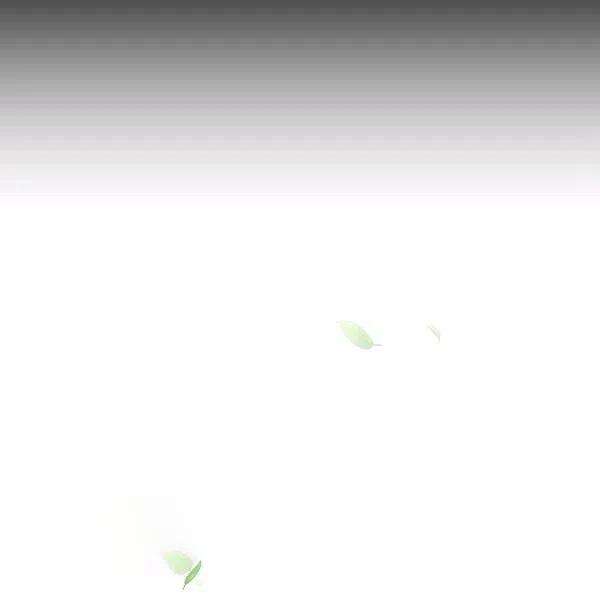 透明的公爵夫人75话
