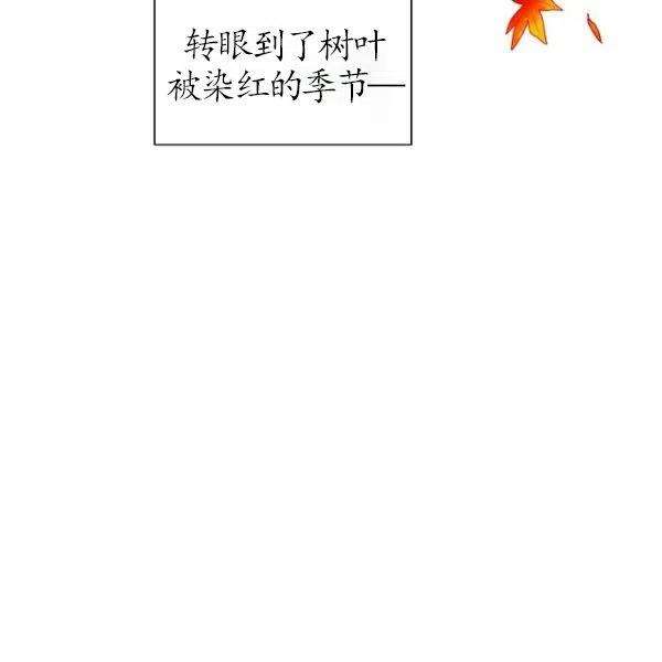 透明的公爵夫人75话