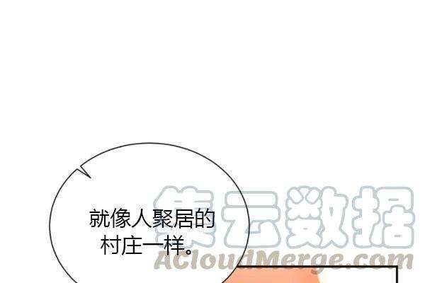 透明的公爵夫人77话