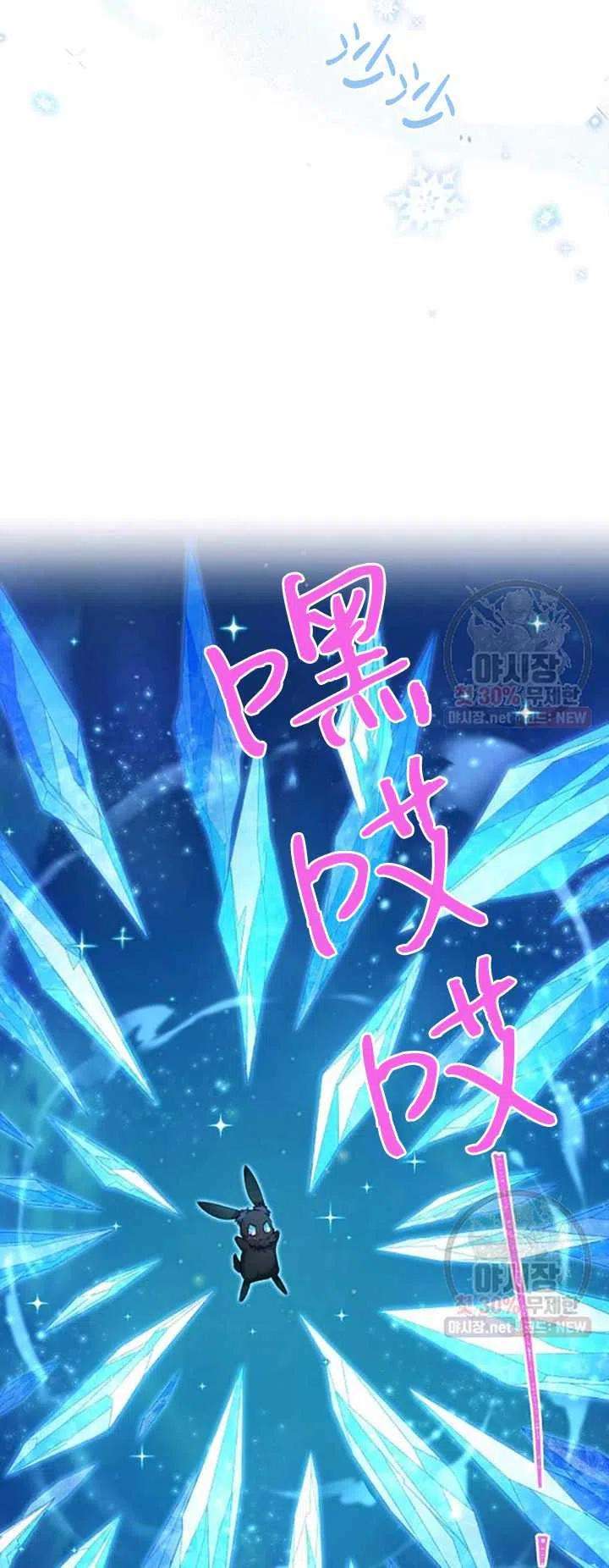 透明的公爵夫人79话
