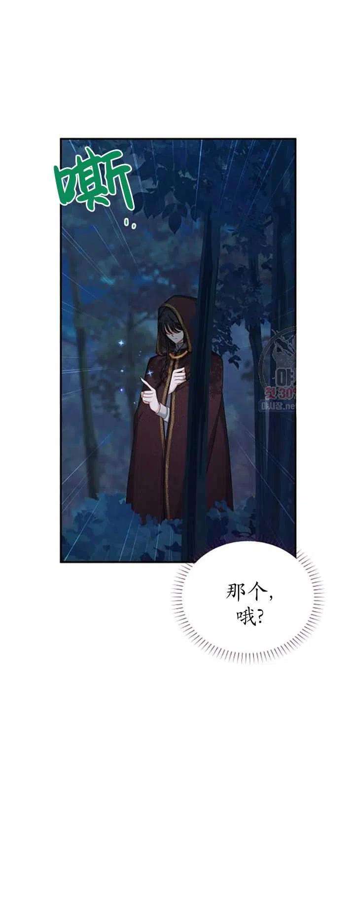 透明的公爵夫人79话