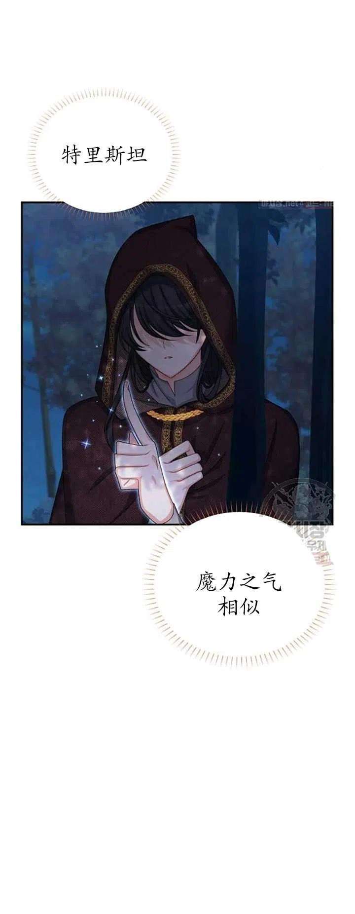 透明的公爵夫人79话