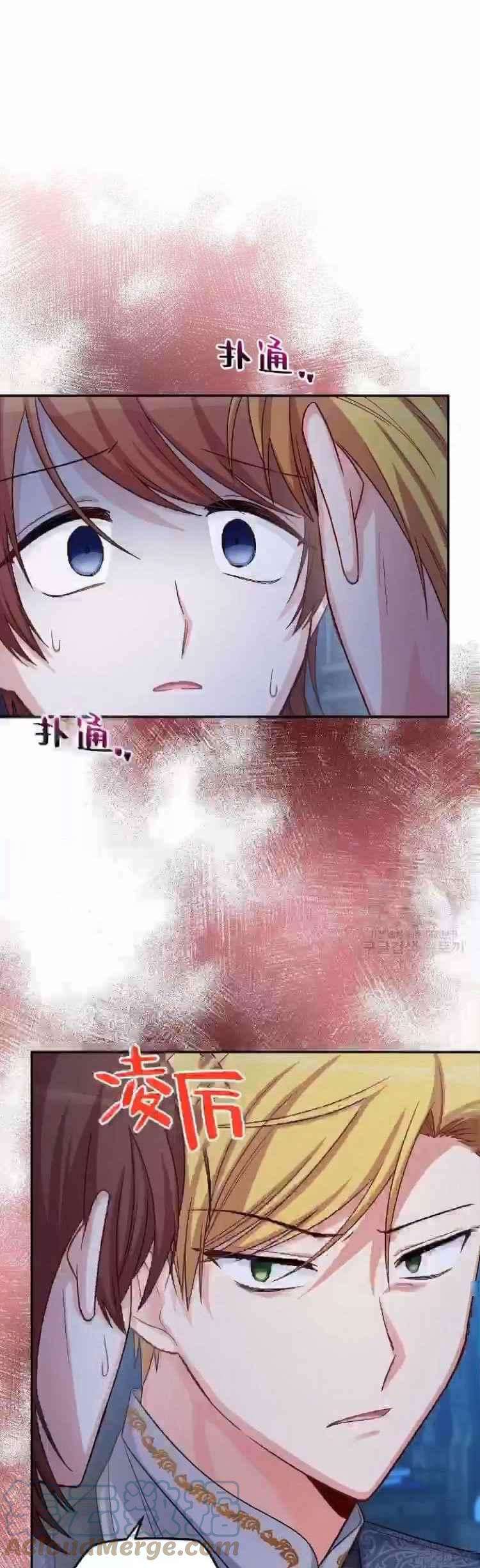 透明的公爵夫人84话