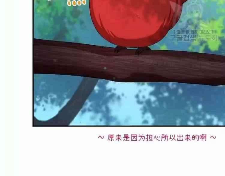 透明的公爵夫人84话