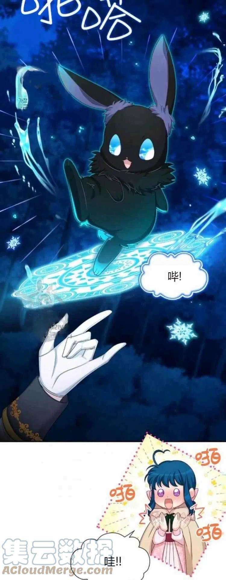透明的公爵夫人89话