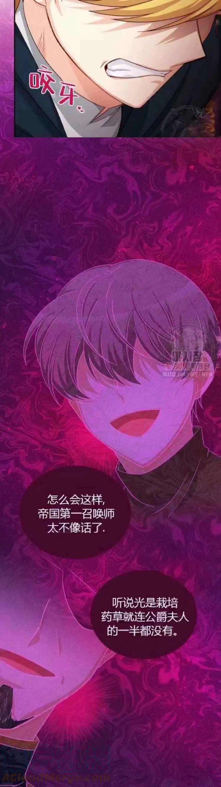 透明的公爵夫人90话