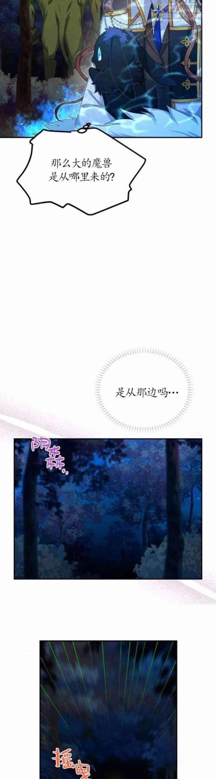 透明的公爵夫人90话
