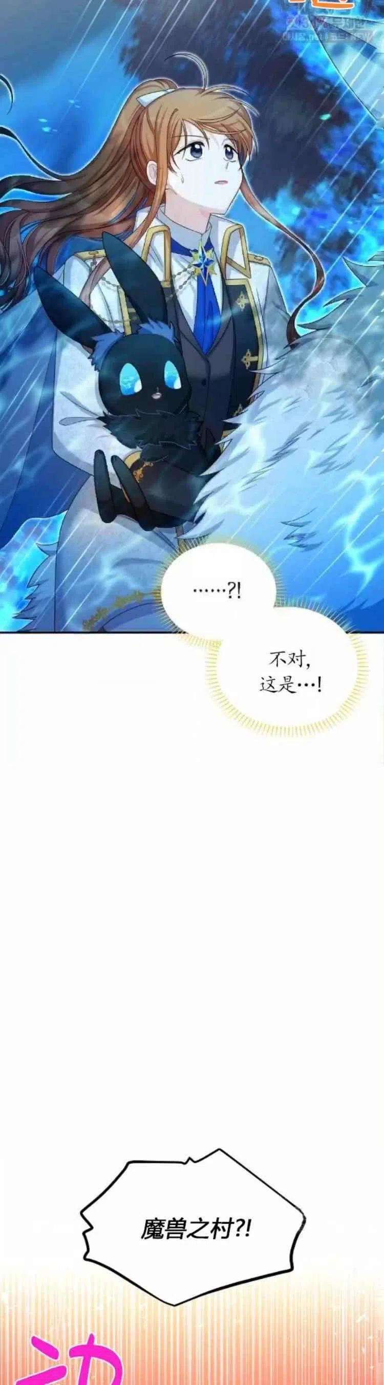 透明的公爵夫人90话