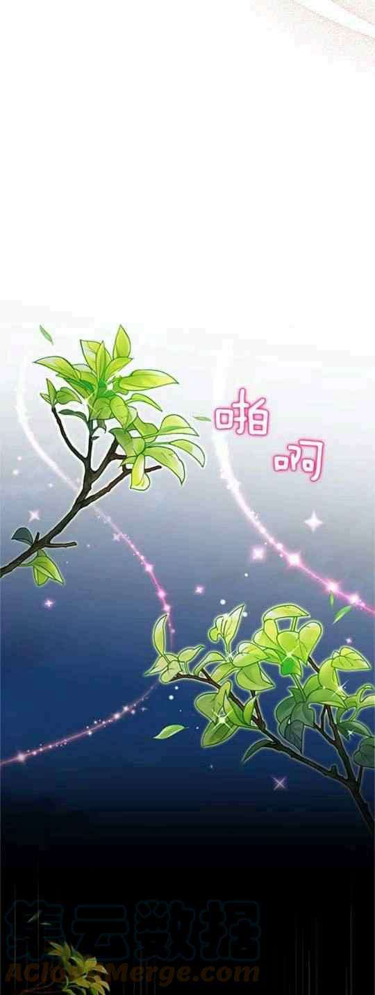 透明的公爵夫人93话