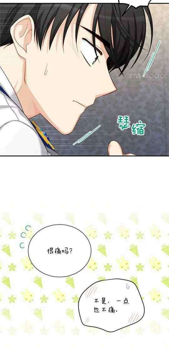 透明的公爵夫人95话