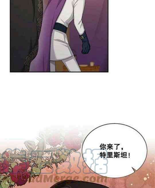 透明的公爵夫人96话