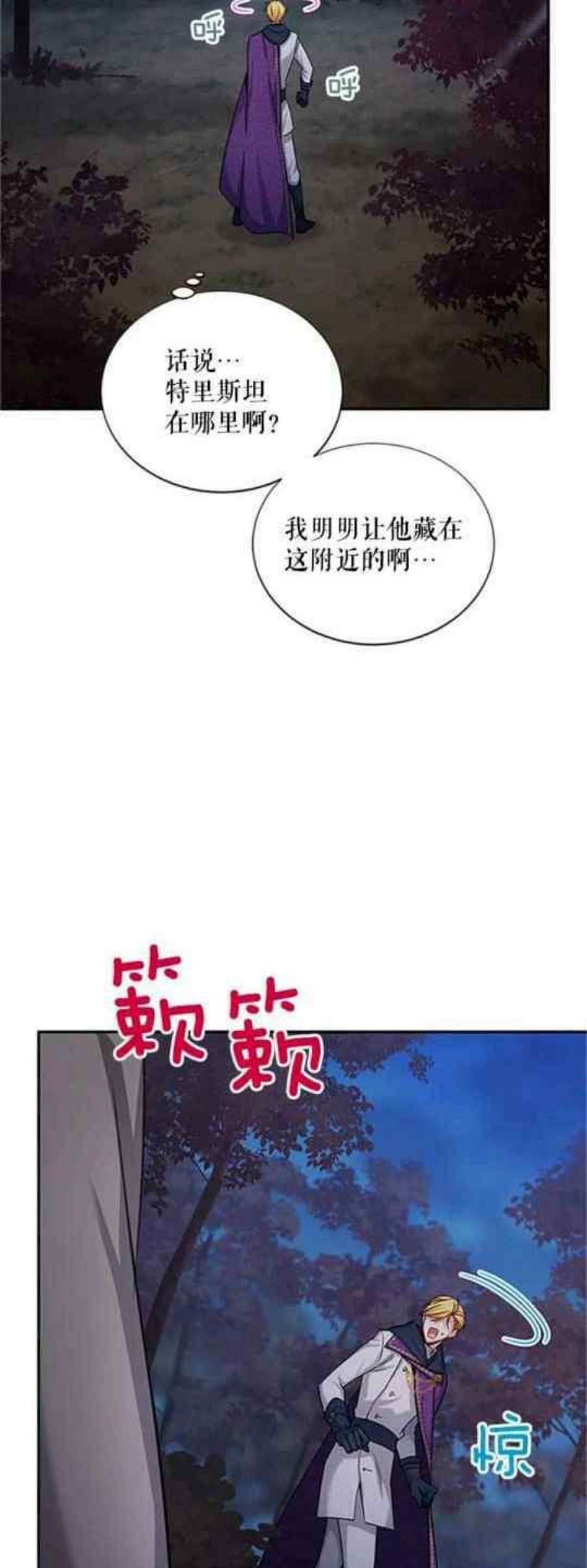 透明的公爵夫人111话