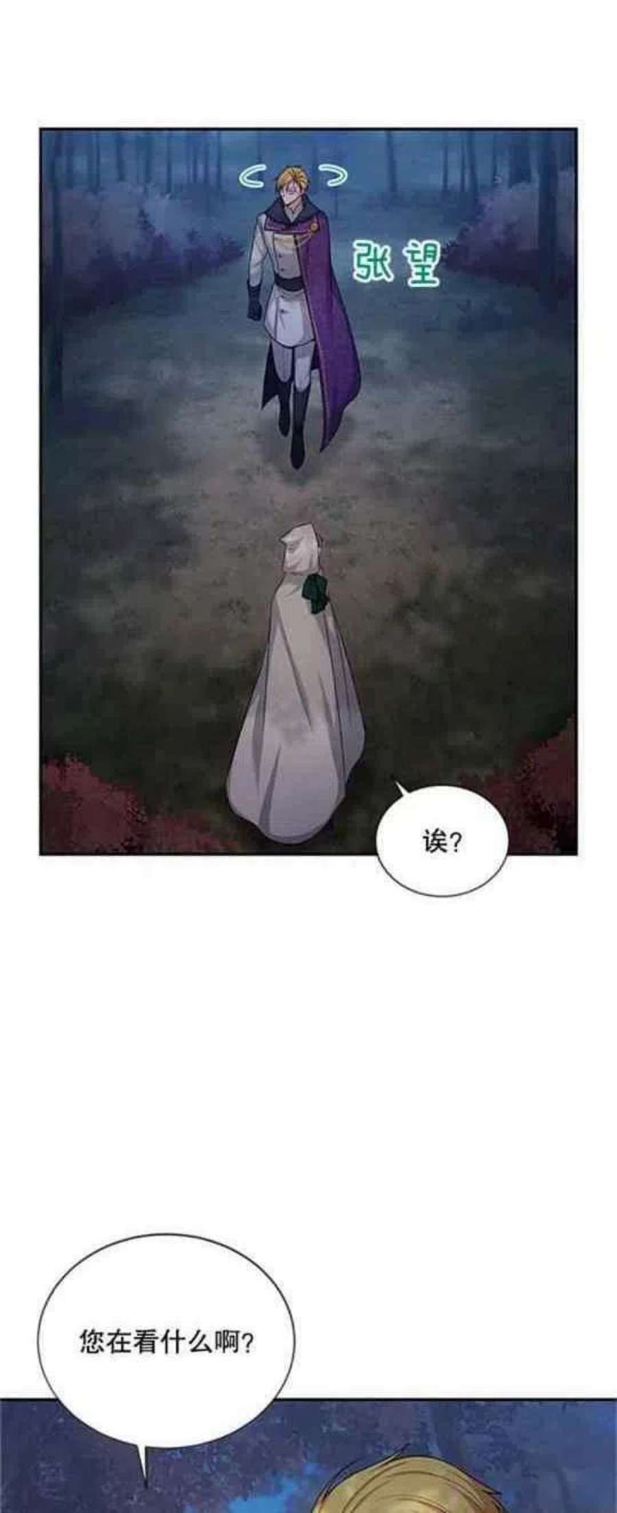 透明的公爵夫人112话
