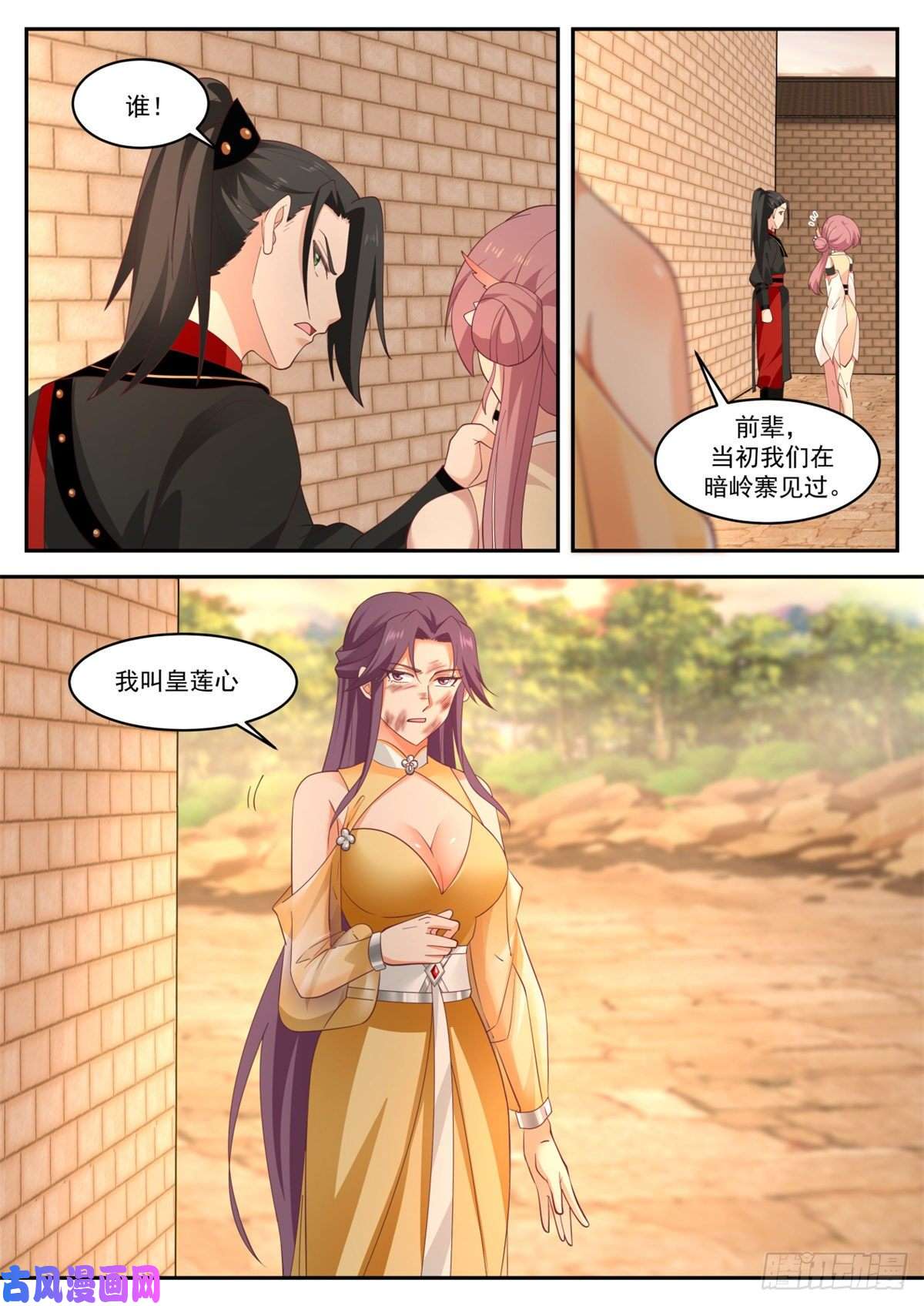 我有无数神剑29