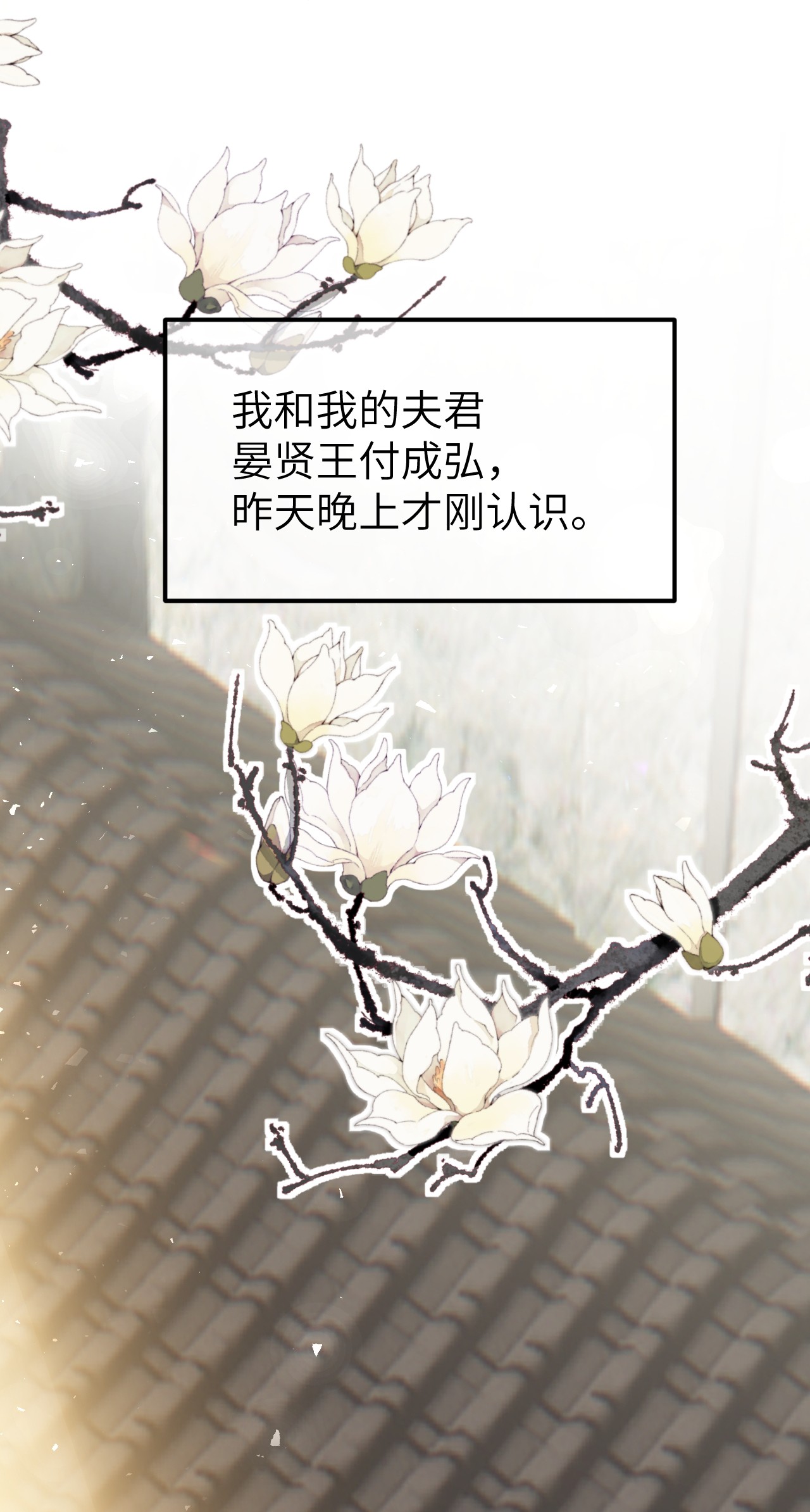 这个王妃性别男001 王妃实习第一天