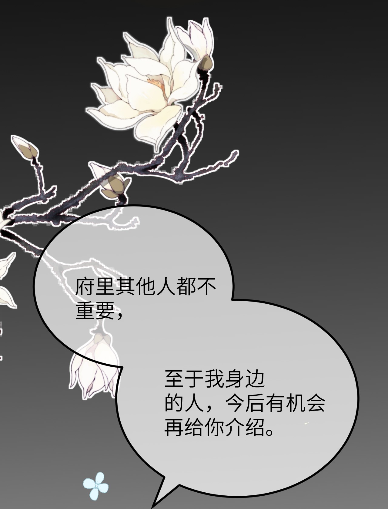 这个王妃性别男002 王府攻略手册