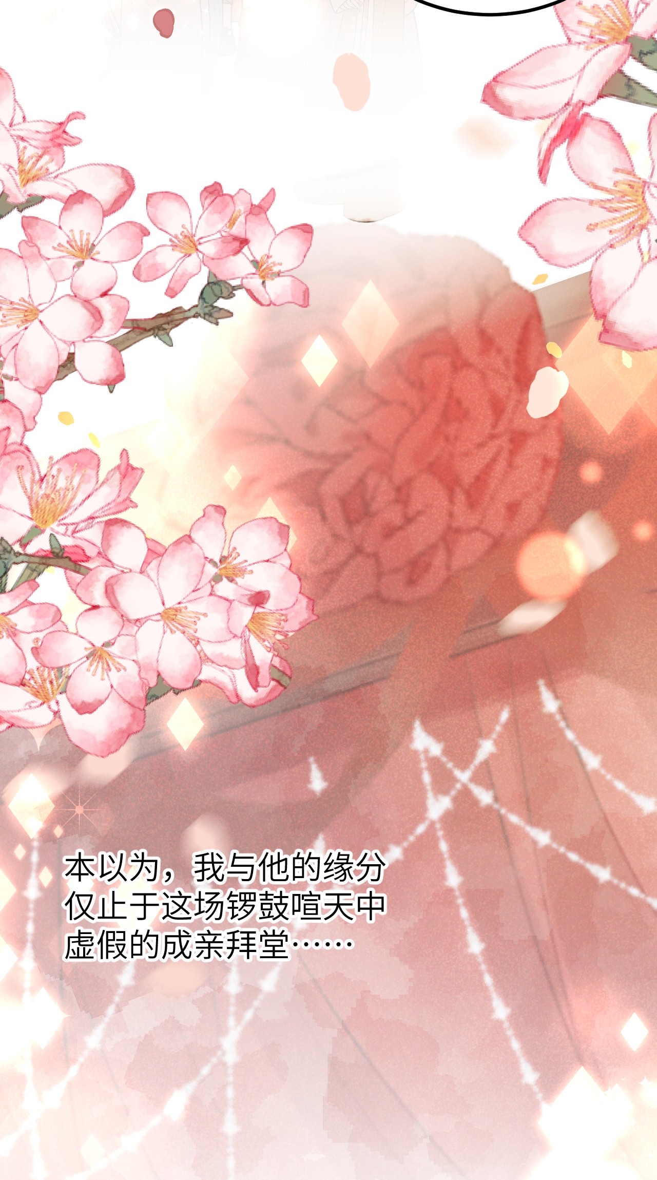 这个王妃性别男004 新婚之夜