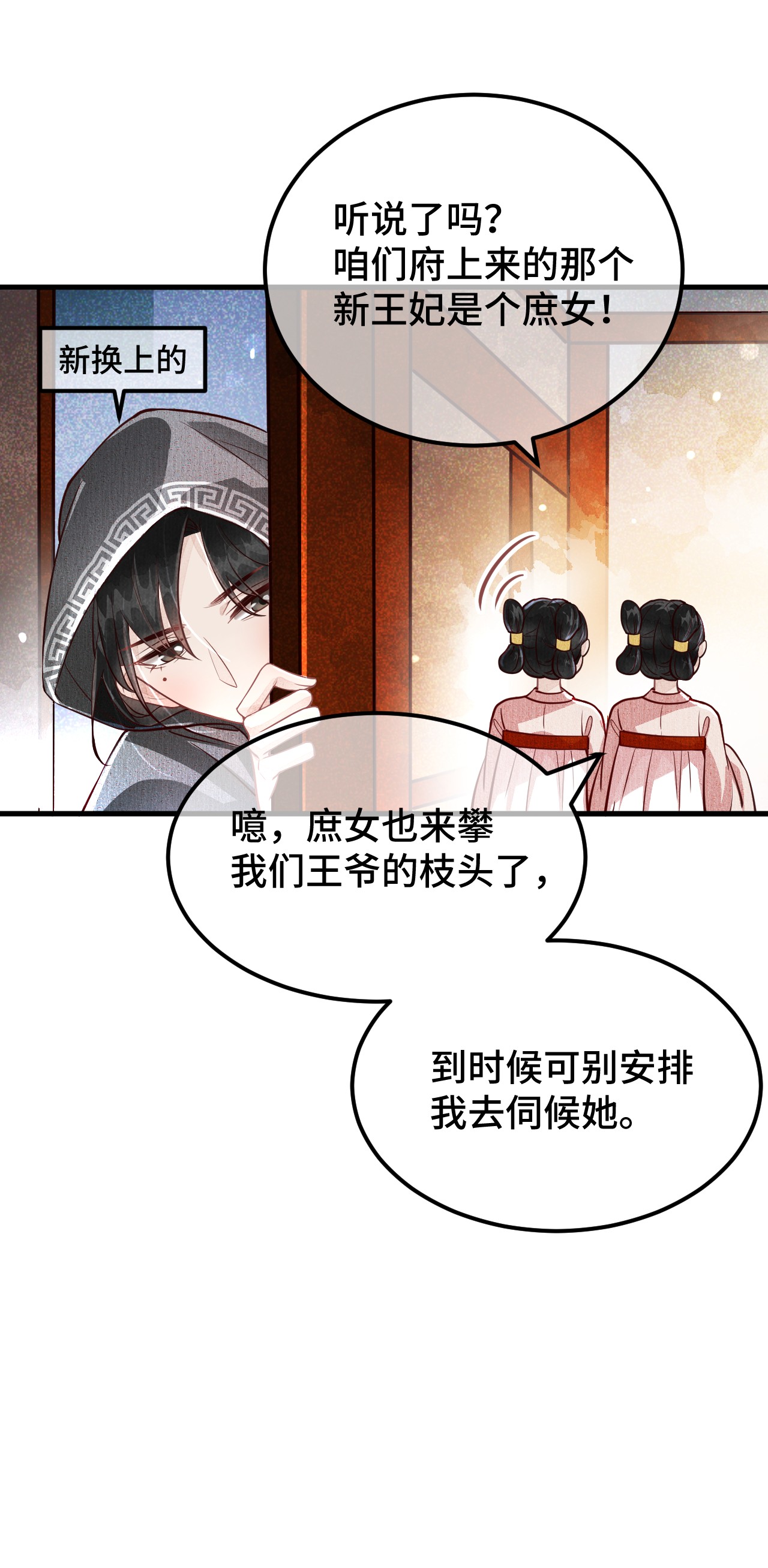 这个王妃性别男004 新婚之夜